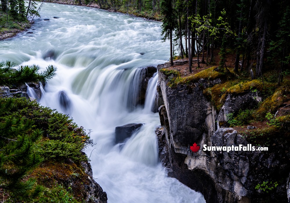 Close to Sunwapta Falls
