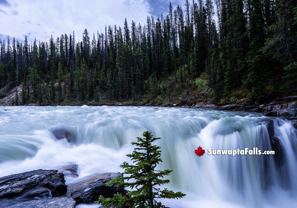 Closest View to Experience Sunwapta Falls