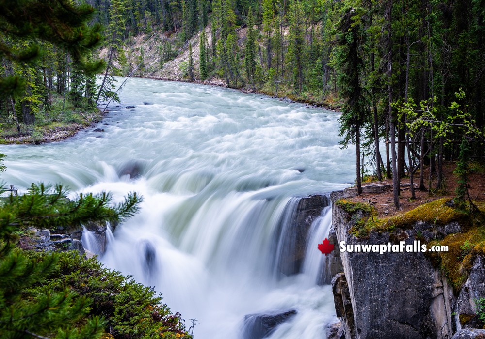 Fresh Feeling Near Sunwapta Falls