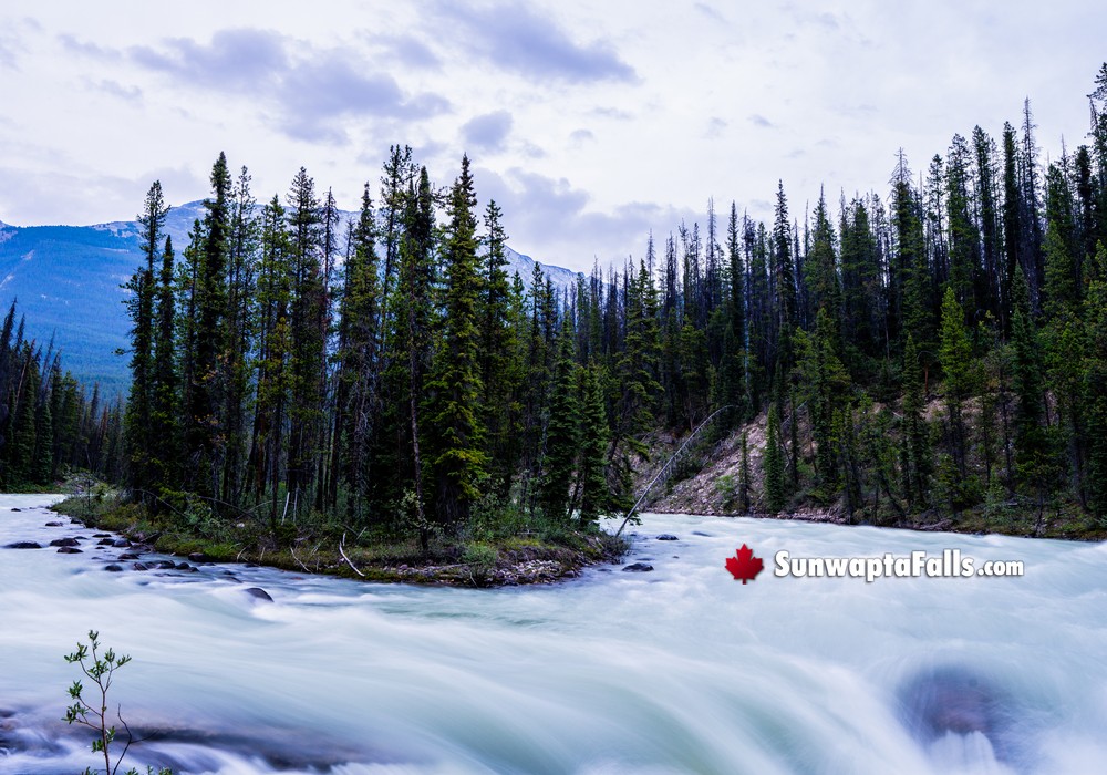 Sunwapta Falls Island Details