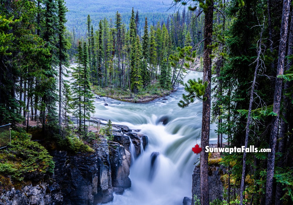 Island in Front of Sunwapta Falls