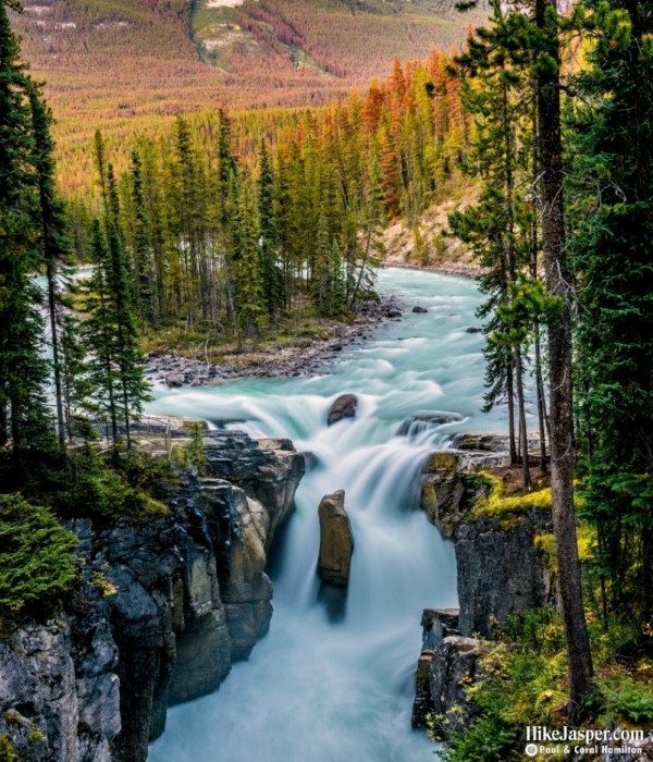 Sunwapta Falls Rocky Mountain Lodge